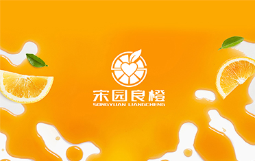 某良橙——庆阳LOGO设计